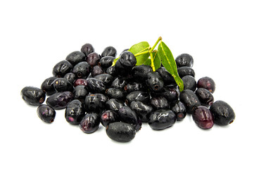 Syzygium cumini on a white background