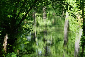 Maalerische, sonnige Flusslandschaft im Spreewald