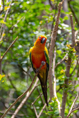 bird on a branch