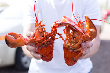 Cracking a boiled red lobster on a concrete table