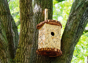 house for the birds on the tree. birdhouse wooden. house for wintering birds