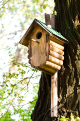 tree house for birds on the tree, birdhouse from the tree for wintering birds