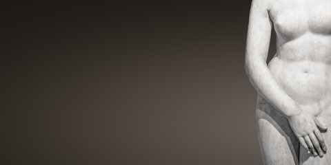 Marble body lines of young naked Roman woman of Renaissance Era at smooth gradient soft background...