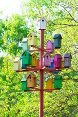 colorful birdhouses. many bright nesting boxes in the park. wooden bird houses