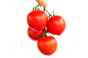 ripe red tomatoes on white background