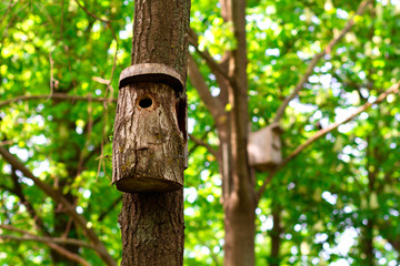 house for the birds on the tree. birdhouse wooden. house for wintering birds