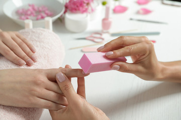 Manicurist polishing client's nails with buffer at table, closeup. Spa treatment - obrazy, fototapety, plakaty