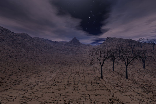 Desert, a night landscape, burnt trees on dry ground and stars in the sky.