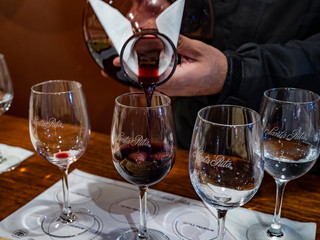 A glass of wine at Vina Santa Rita