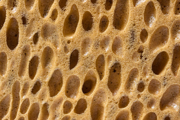 sponge  texture,abstract texture background