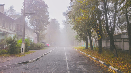 Fototapeta na wymiar Empty asphalt road between trees in the autumn in the fog