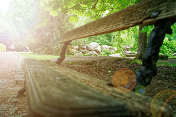 Old wooden bench, place for relax and meditation.