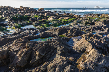 Atlantic Ocean rocky beach in Porto city, Portugal