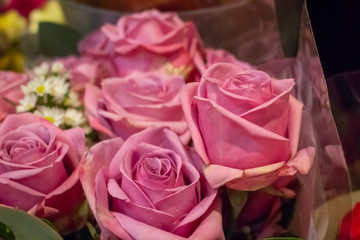 A bouquet of pink roses