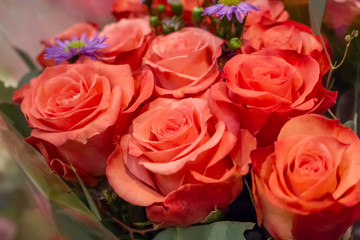 A bouquet of pink roses