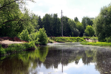 Obraz premium City park. Trees. River. The sun shines. On the other side of the children walk