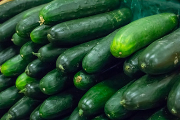 A mound of fresh cucumbers