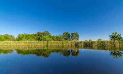 Fototapeta premium The blue sky and the trees on the shore are reflected in the water at sunset.