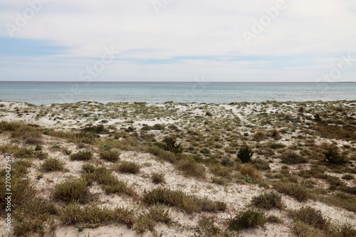 Spiaggia Di Capo Comino Stock Photo And Royalty Free Images