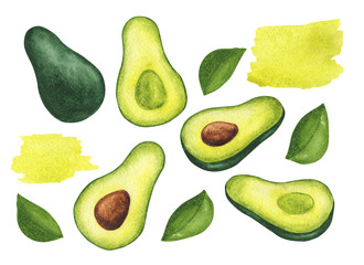 set of watercolor avocados and leaves