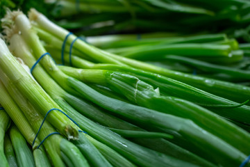 Obraz premium Several bunches of scallion