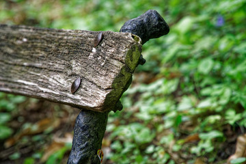 Old wooden bench, place for relax and meditation.