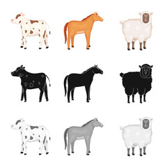 Vector design of breeding and kitchen  icon. Collection of breeding and organic  stock vector illustration.