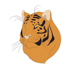 vector illustration portrait of an orange tiger, vector