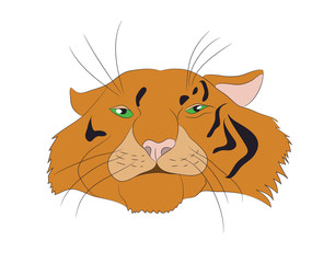 vector illustration portrait of an orange tiger, vector