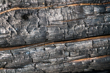 Black,charred wood surface.Natural background and texture of burnt coniferous tree