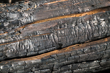 Black,charred wood surface.Natural background and texture of burnt coniferous tree