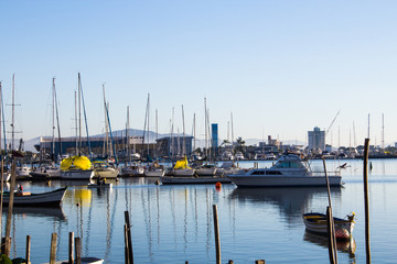 boats in harbor