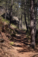 path on the side of a mountain