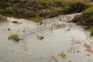 underground water flow in to plantation