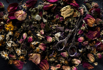 Dried herbs and flowers for herbal tea and vintage scissors. Healing herbs background