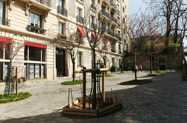Walking along beautiful Paris spring street  - 270049517