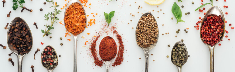 panoramic shot of colorful spices in silver spoons near green leaves on white background