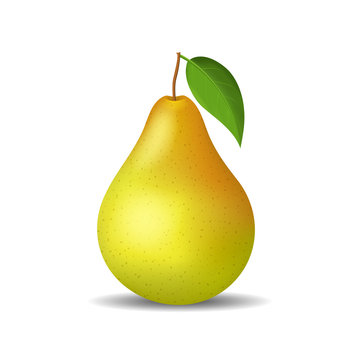 Realistic Detailed 3d Whole Pear Isolated on a White Background. Vector