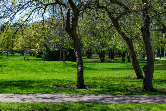 Green Grass And Trees At Welles Park In Lincoln Square Chicago