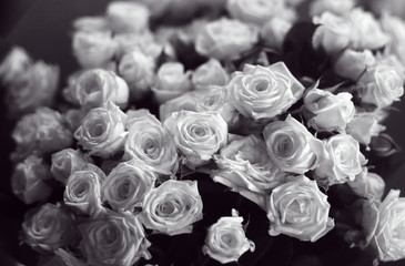 Beautiful bunch of black and white roses close up picture. Selective focus.