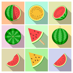 Watermelon. Whole fruit and fresh juicy watermelon slices. Vector illustration icon