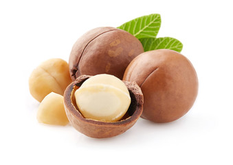 Macadamia with kernel nuts in closeup - obrazy, fototapety, plakaty
