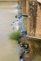 Florence Arno River