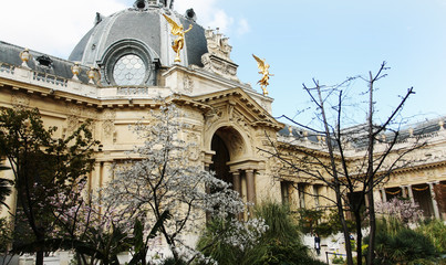 Beautiful Petit Palace garden in Paris - 270055927