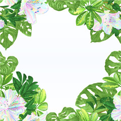 Fototapeta premium Seamless frame tropical flowers floral arrangement beautiful multicolored rhododendrons with Schefflera and Monstera vintage vector illustration editable hand draw