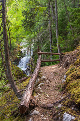 Obraz premium View at Mountain Trail in British Columbia, Canada. Mountains Background.