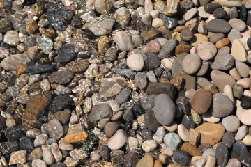 pebbles on the beach