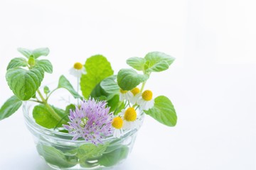 チャイブとカモミールの花