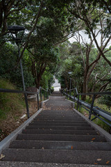 Looking down stairs on a path in Whanganui New Zealand