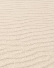 Fototapeta na wymiar White Sand Dune Pattern